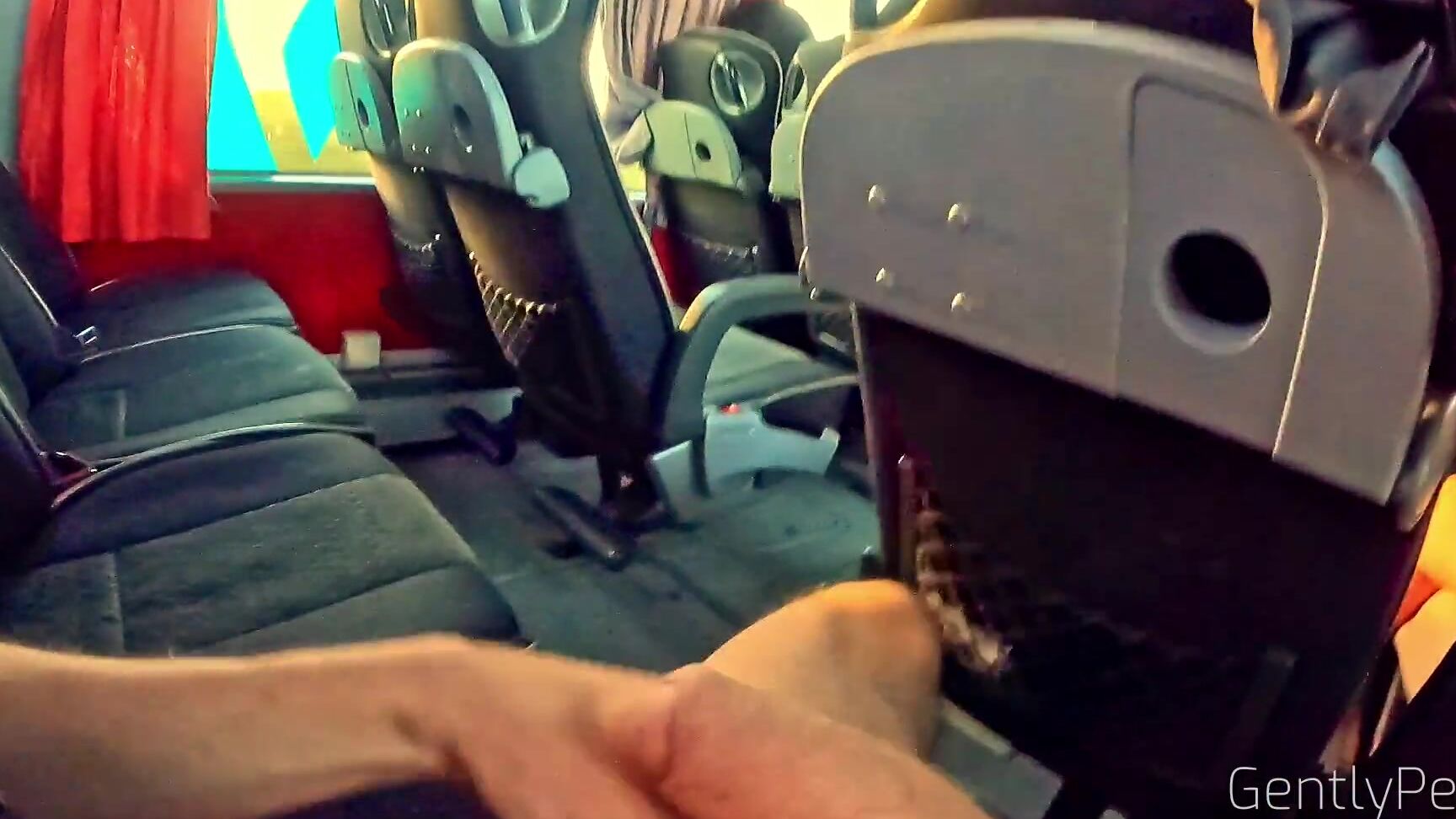 GentlyPerv PUBLIC BUS ADVENTURE - I show my hard cock to a sexy cutie lady...she can't resist. Pornhub