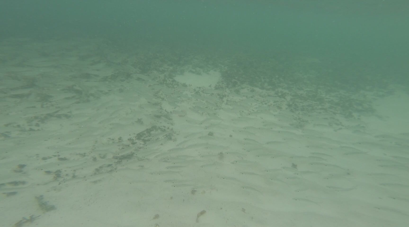 Bisexual, MILFs, Voyeur mandybabyxxx swimming in mexico ManyVids