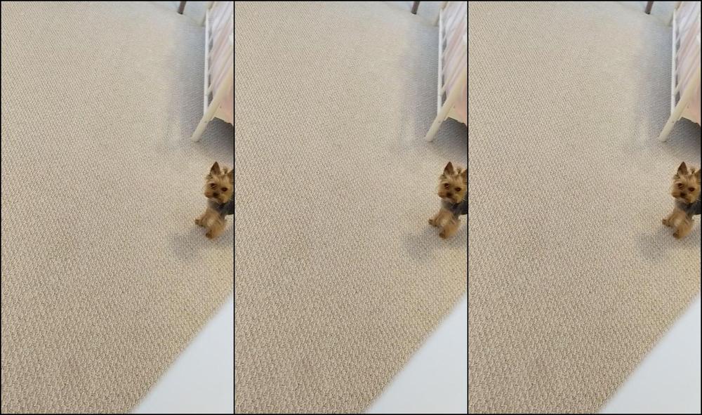 Biancabeauchamp 2018 04 09 O2Qqks8Uptmshez00Odp7Q381Dx2Cr5Z