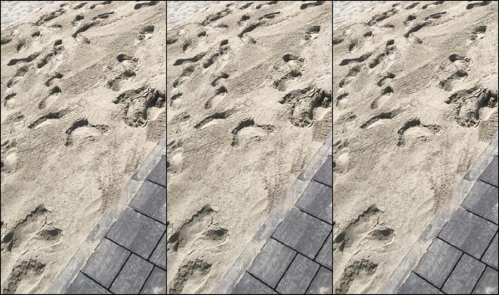 Lutro Hi Guys Many If You Was Crazy From Video What I Send To You B