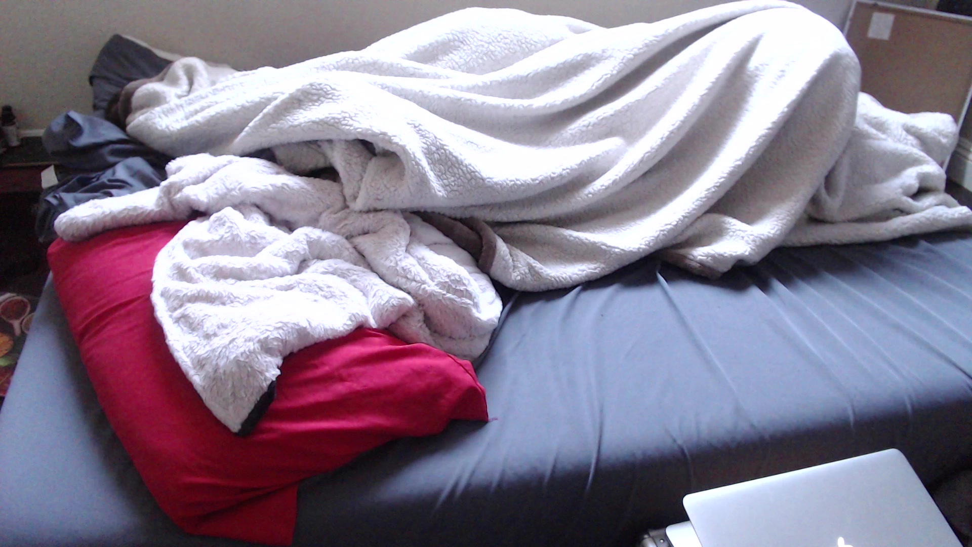 Blowjob, Fucking adonis aesthetics sensual morning blowjob and fuck