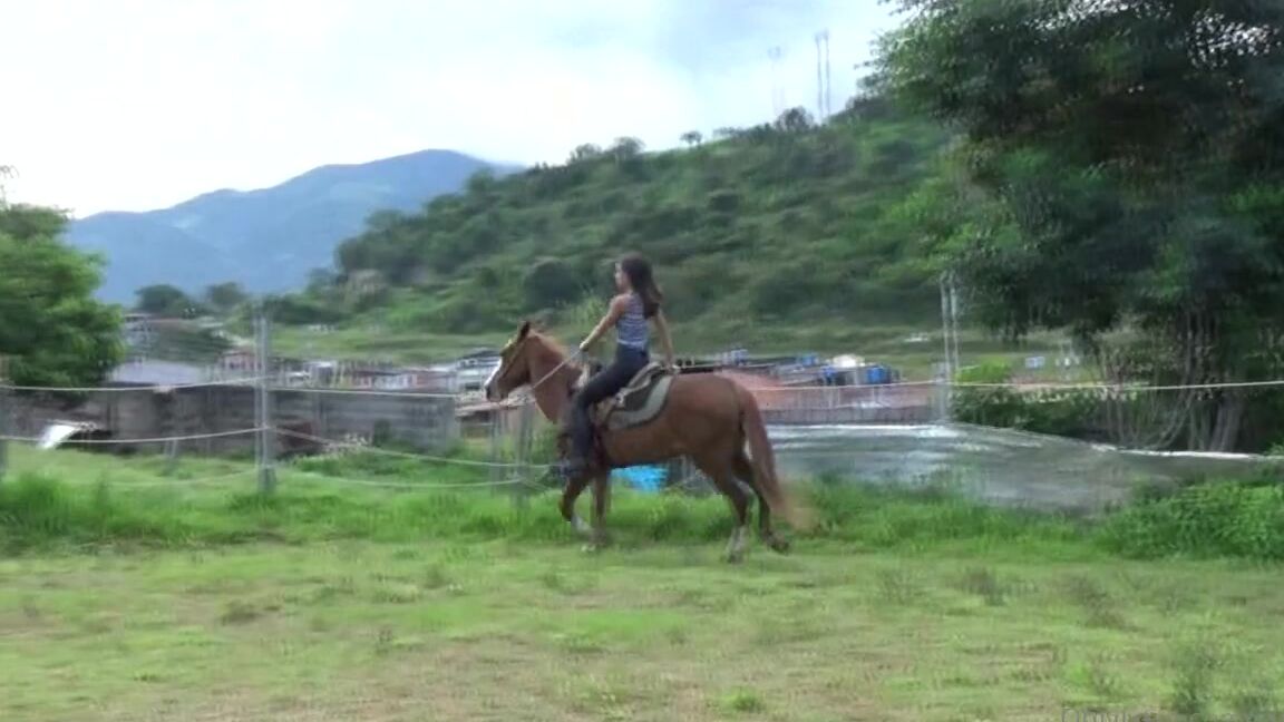 Ghrfan Onlyfans I Love To See The Stunning Princess Venus Riding On Her Sexy Leather Pants She Looks