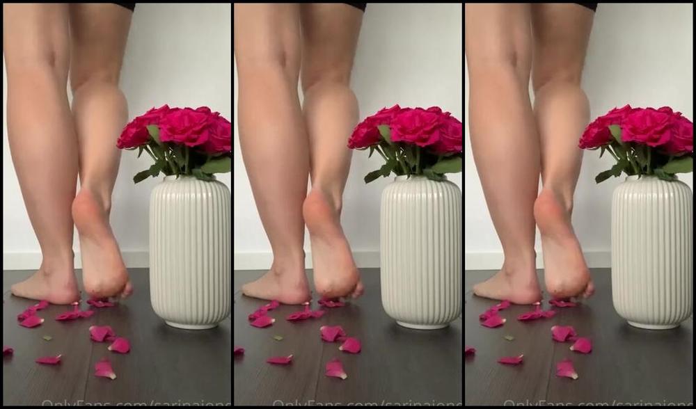 Sarina Jones Nicknamed Sarinajones 06 04 2023 Onlyfans Video Pov You Are These Roses Do You Deserve To Be Trampled By My Beautiful Feet Do