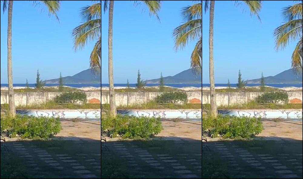 Belatransfet 3003996156 09 04 2023 Sex On The Beach