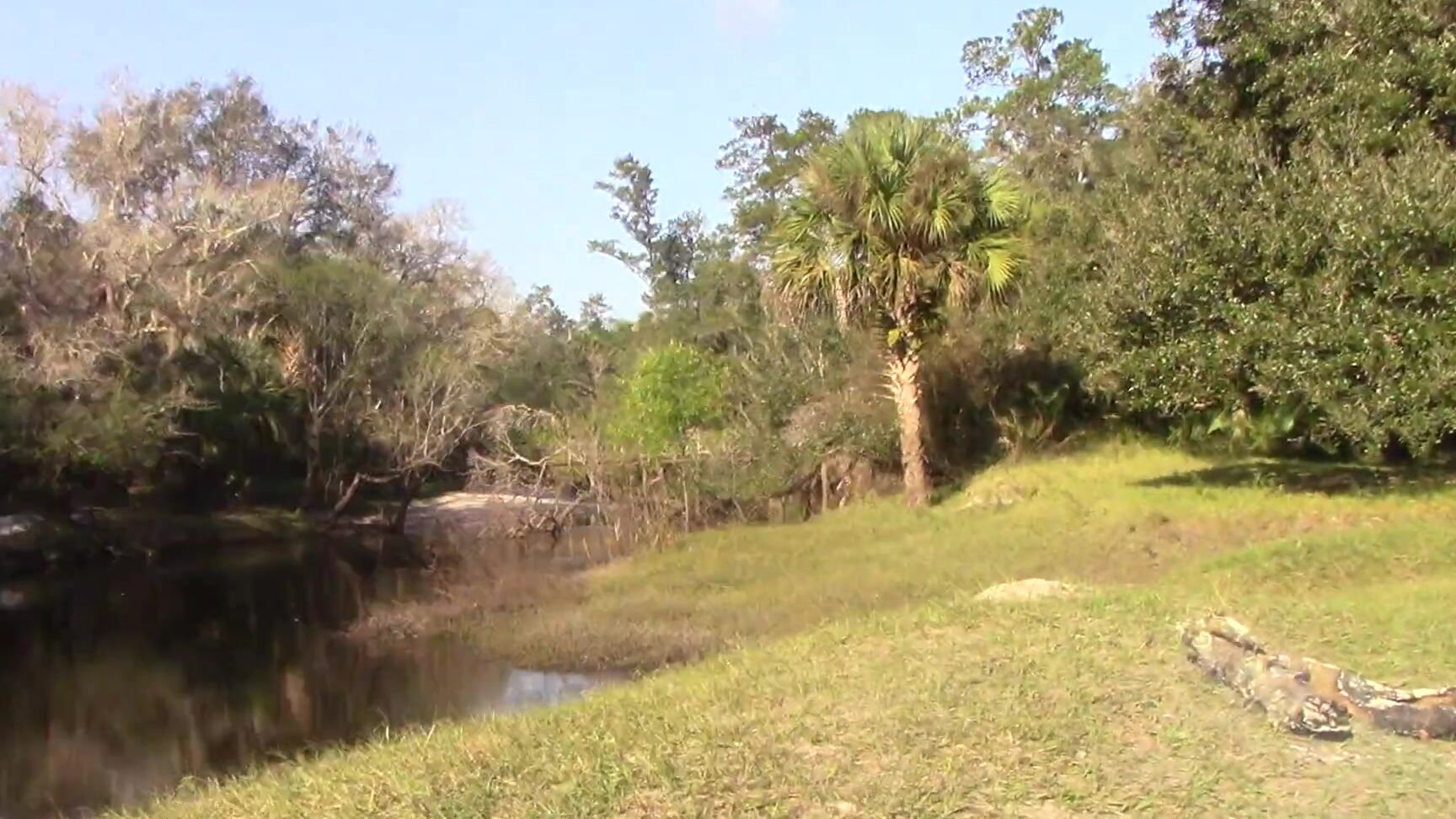 Chloe Lamb Current Liabilities 9 [selfie] 1080p Mix