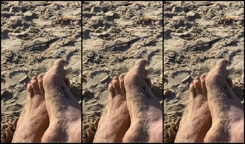 Ishameless Nicknamed Ishamelesss Onlyfans Video 675