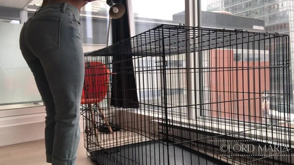 lord goddess maria introducing the slave to its cage_Z Clips4Sale