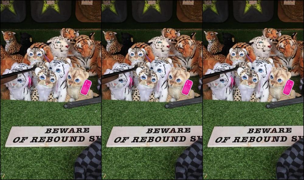 Aprilpaisleyofficial So We Got Given Another Go One More Star And I Get Cuddlie Toy A Cat One Of Corse Lol Can