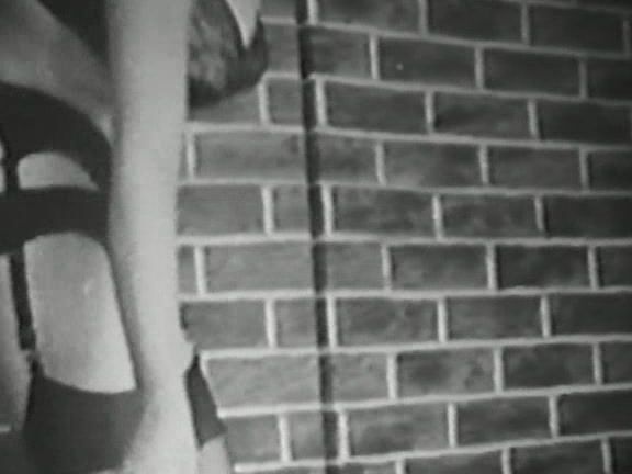 "USCHI DIGART, CANDY SAMPLES, MARSHA JORDAN" Classic, Compilation BIG BUST LOOPS VOL 01 Something Weird Video