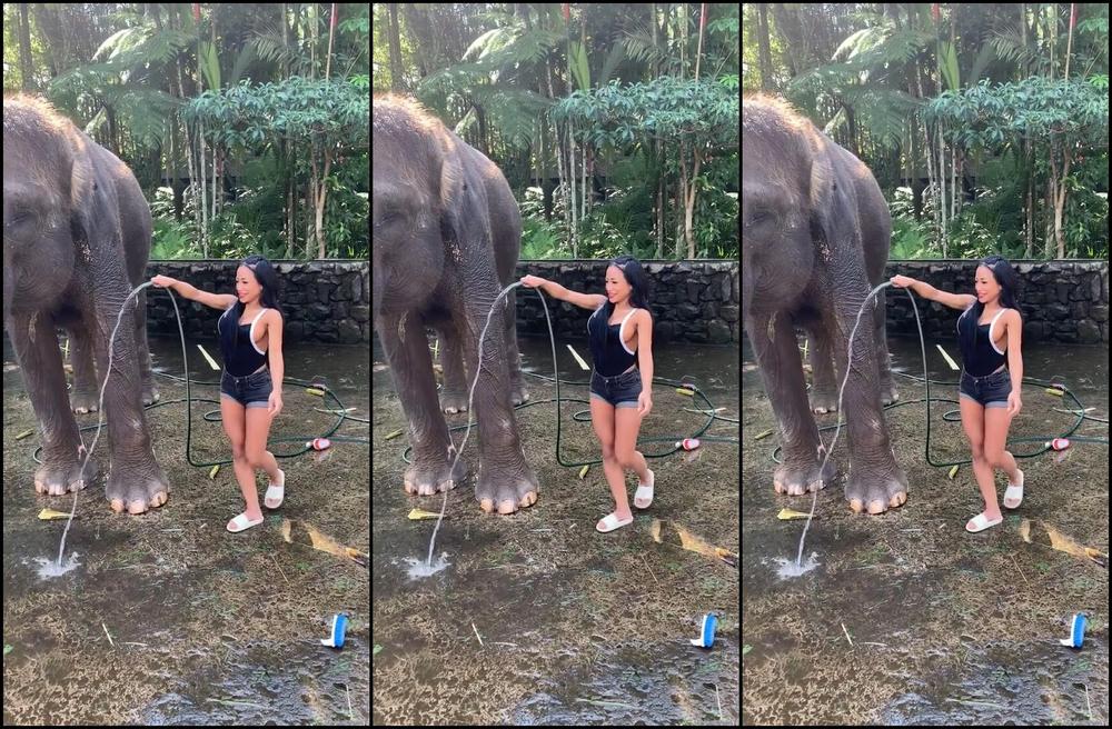 Cjmiles 20 06 2019 7799996