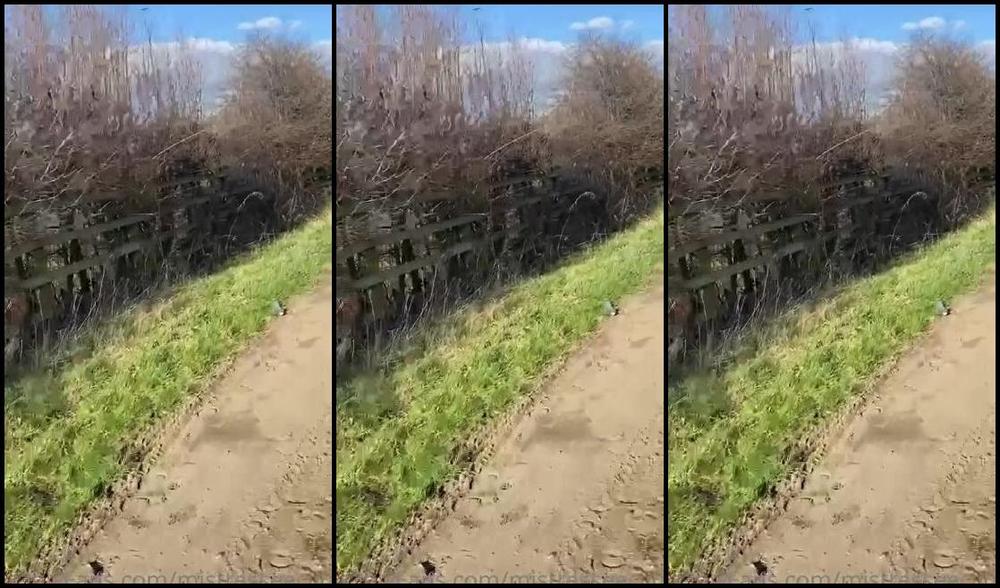 Mistress Eclipse Nicknamed Mistresseeclips Femdom 02 26 2023 Onlyfans Video Puppy Play Is The Same Principle