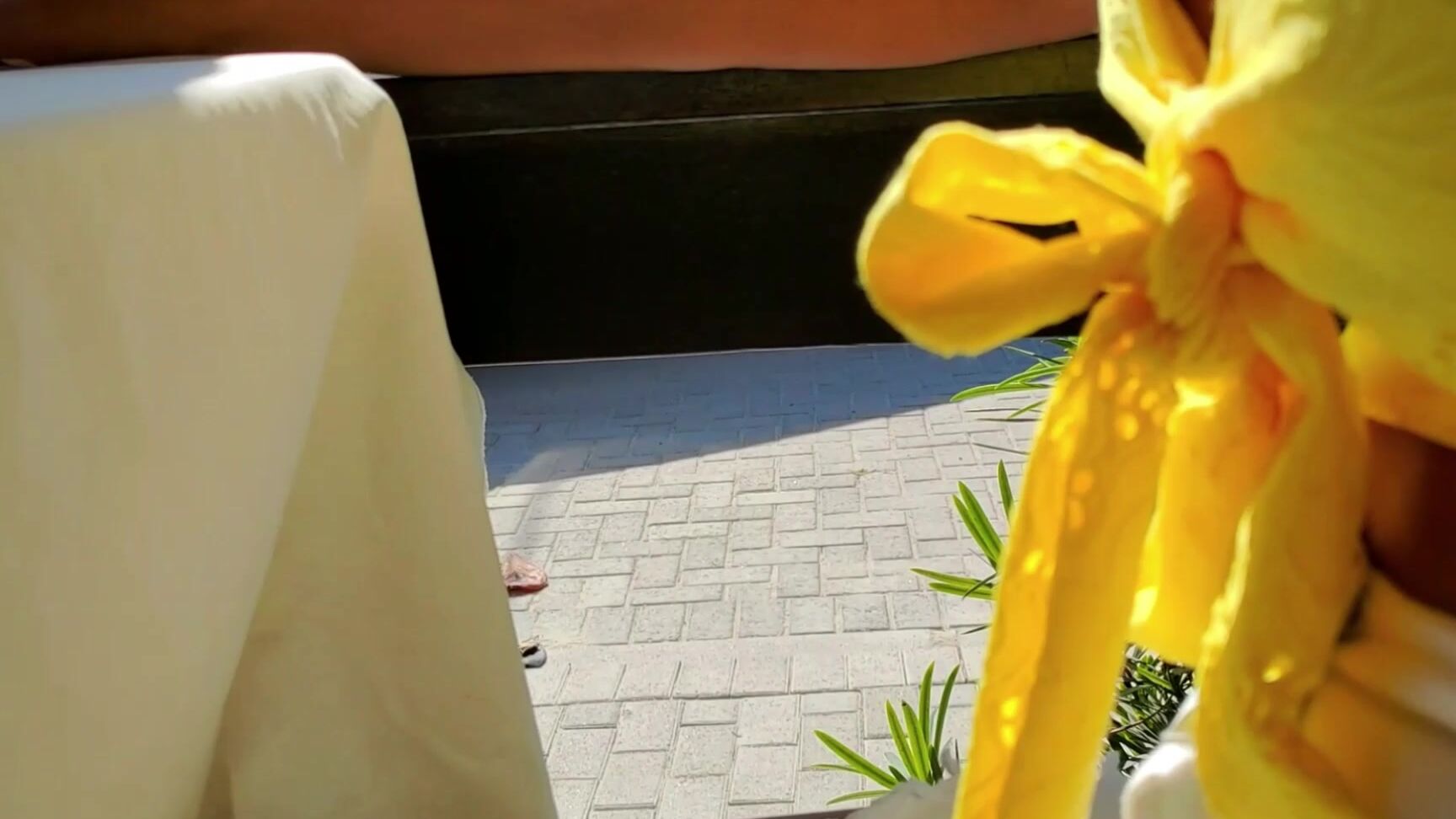 "K3X PRODUCTIONS" exhibitionism, miniskirts, publicflashing, publicoutdoor, upskirt FLASHING PUSSY ASS AND NIPPLES IN PUBLIC manyvids