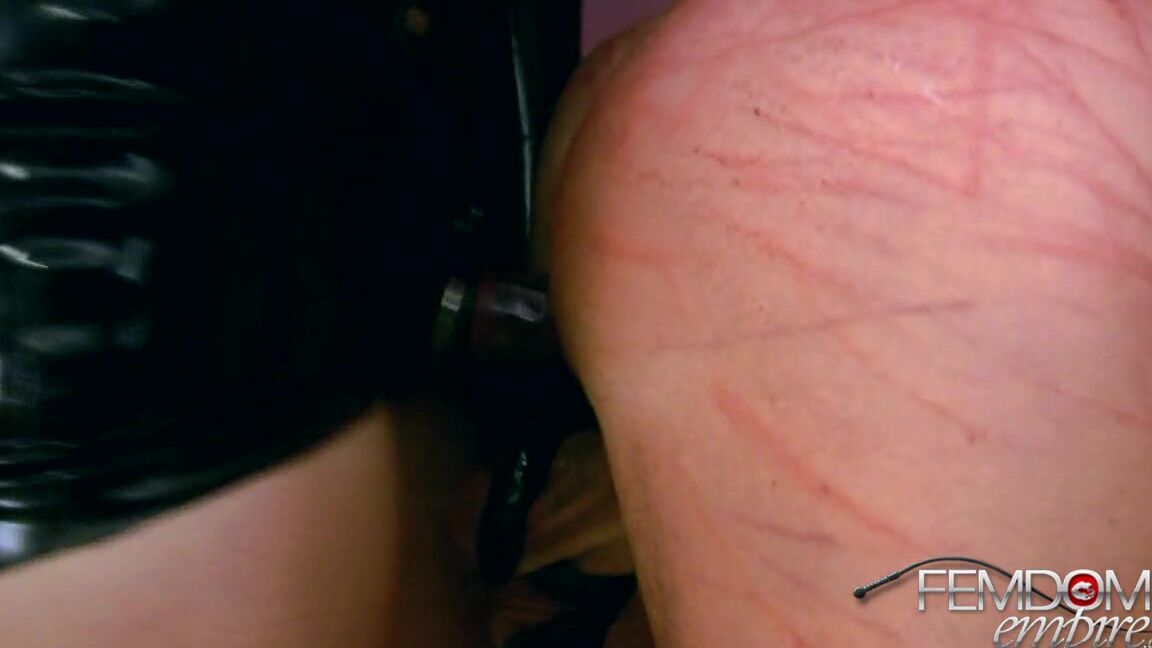 FemdomEmpire Lexi Sindel - Shewolf  Anal VIOLATION