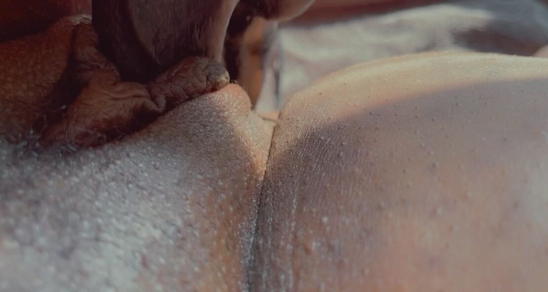 Onlyonerhonda 2194340749 08 16 2021 Well That Was Interesting Gonna Need A Firmer Dp Dildo