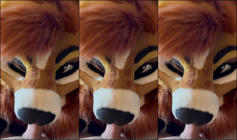 Angel Pups 391936564 Cowgirl Loves To Have Fun 01 Ab03Ec2A 6Cdb 44E8 A3Fe A51887Af01A8