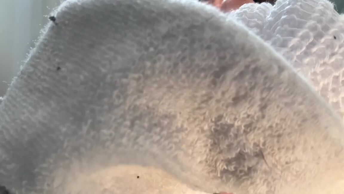 Camicutesoles 12 04 2024 Onlyfans Video Sink Into The Scent Joi How Could You Ever Resist Stinky Slouch Socks And Sweaty Soles