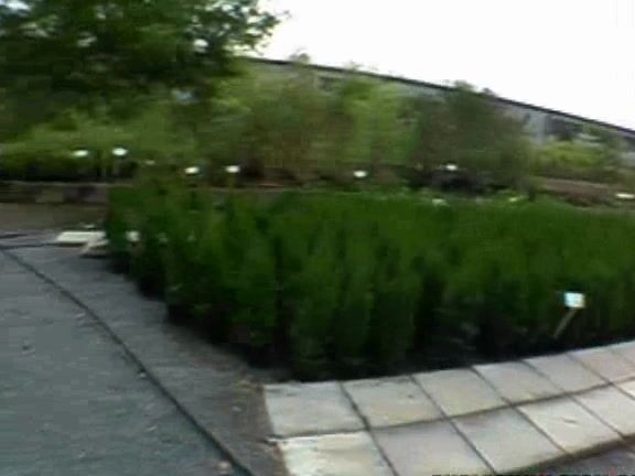 Public Invasion 096 Renata's Sex Garden 08-08-07 Public Invasion