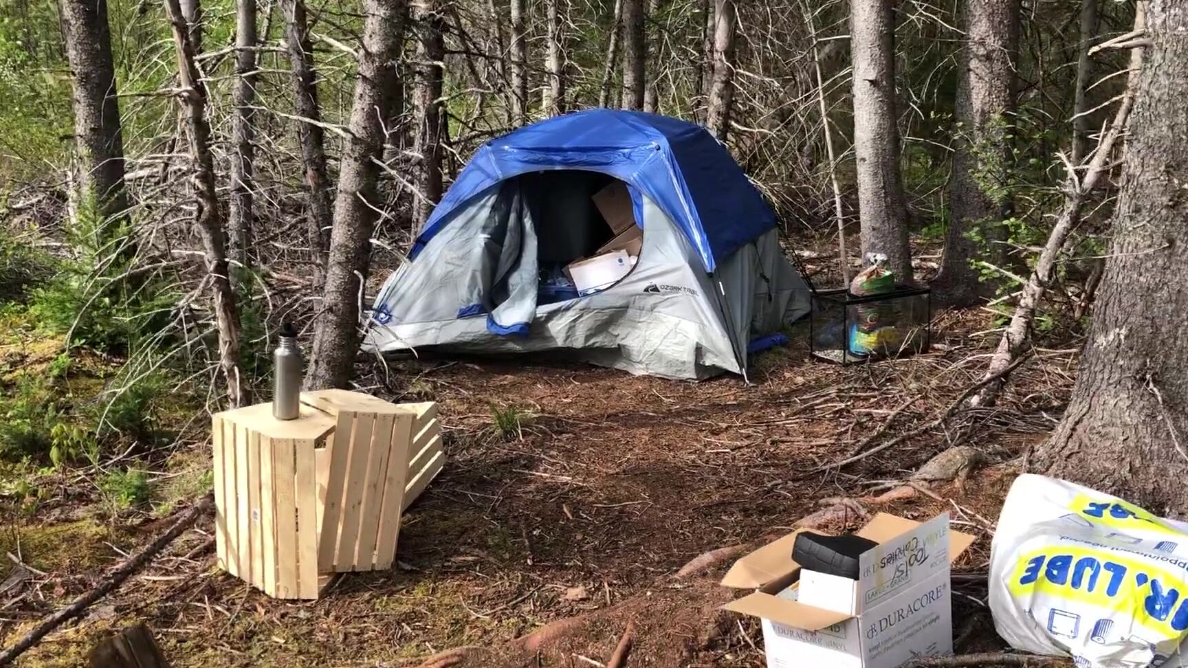 lladventures-04-06-2020-391875598-here-s-a-very-quick-update-tomorrow-is-going-to-be-a-day-full-of-recording-and-showing