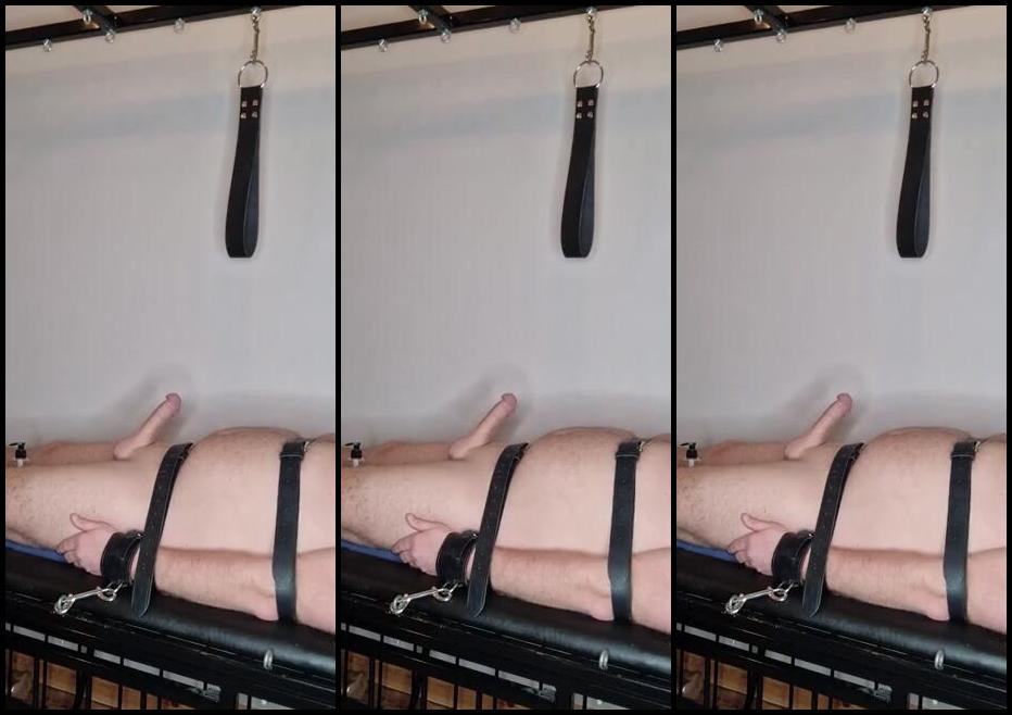 Lady Sara Borgia Onlyfans Milking You Dry Part 1