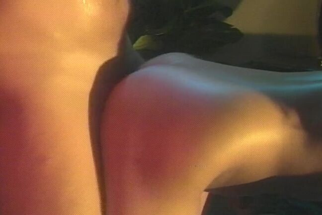 "Raven, Ashley Dunn, K.C. Williams, Joey Silvera, Randy West" All sex Sexual Intent Plum Productions