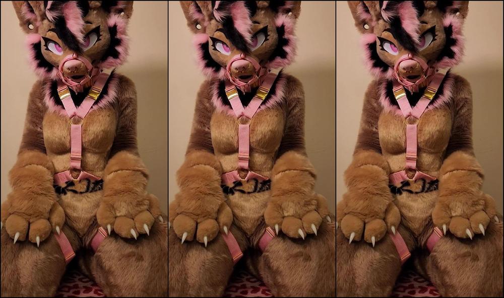 Ad Rutt 924087406 Puppy On A Lead Careful She Ll Pounce 23 0Hmko64Nv4G8Tzc0Pi7H4 Source