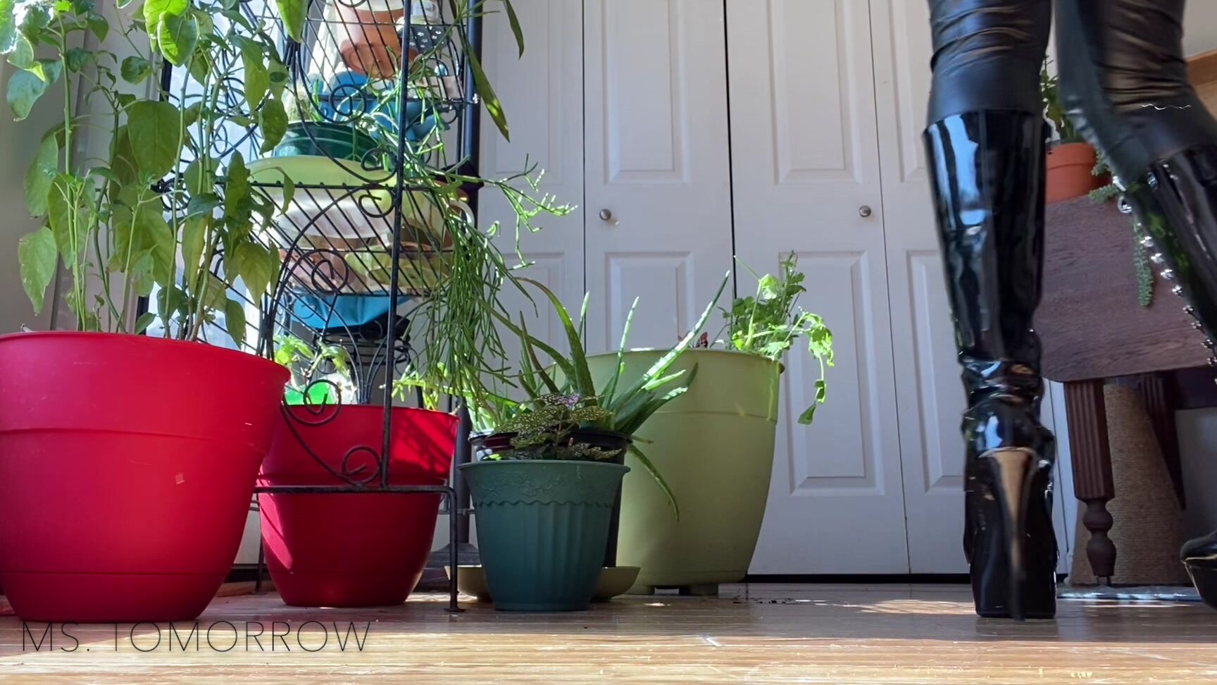 DommeTomorrow - Her Boots Clips4Sale