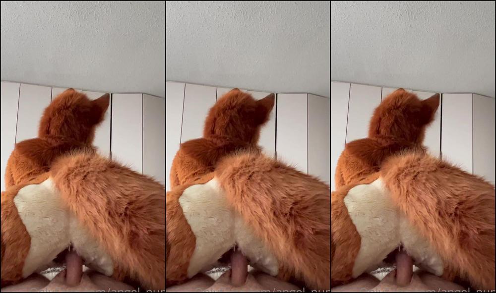 Angel Pups 480257417 His Favorite View 01 7Ea584B3 9822 44C5 94A7 69Eb0F3Ea6D6