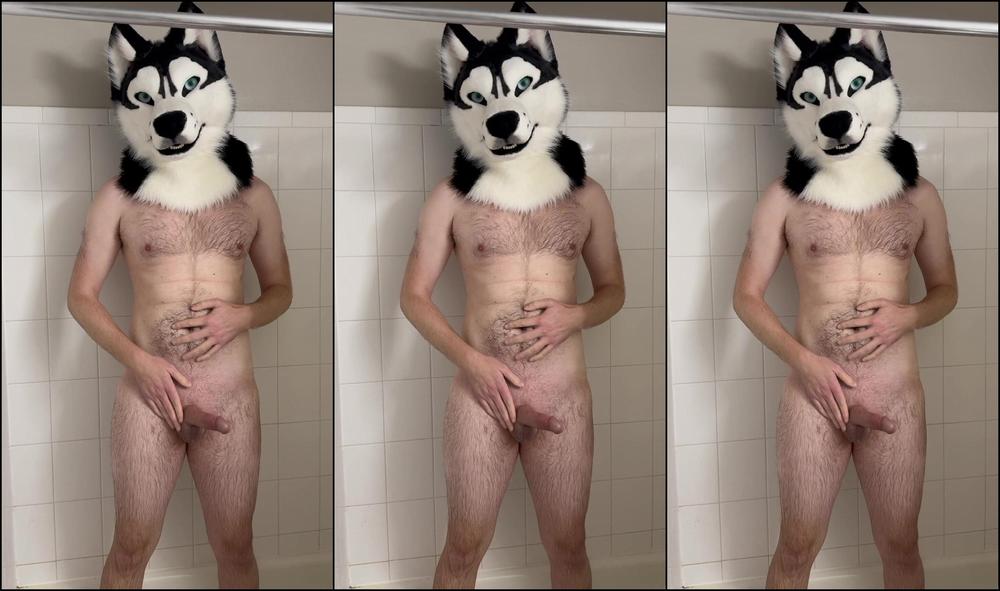 Angel Pups 1417348232 Big Stinky Mutt Getting All Clean 01 0Hw9Mae9C299A8V1Ou86B Source