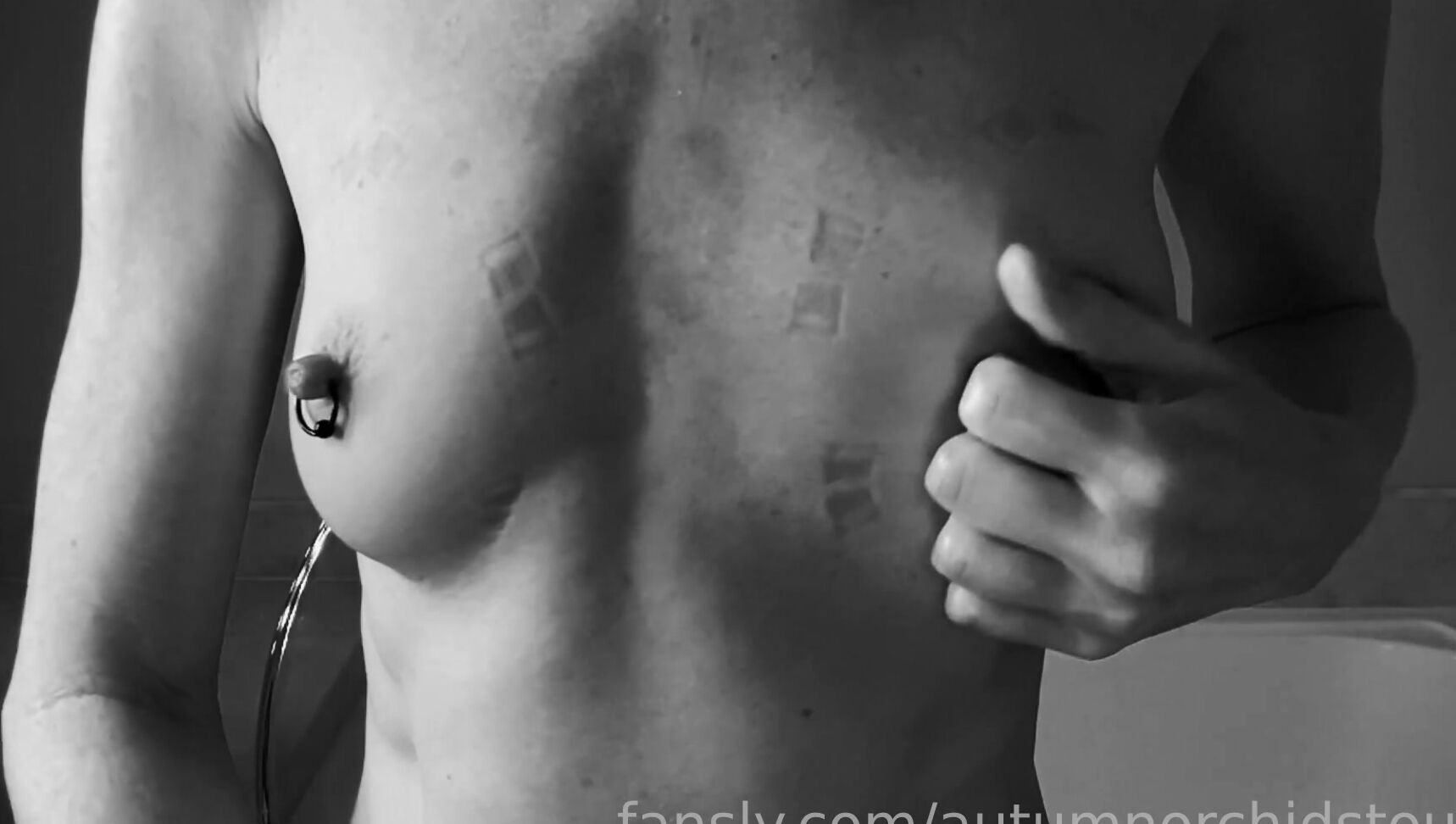 Autumn Orchid 569270348042739712