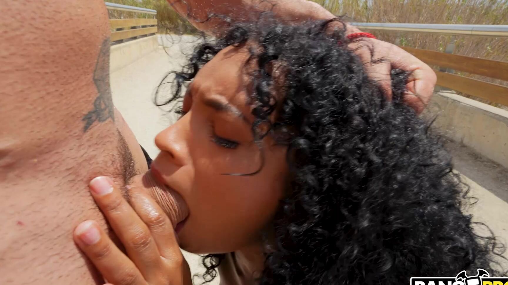 all sex Barbie Rous - Barbie Gone Wild SiteRip