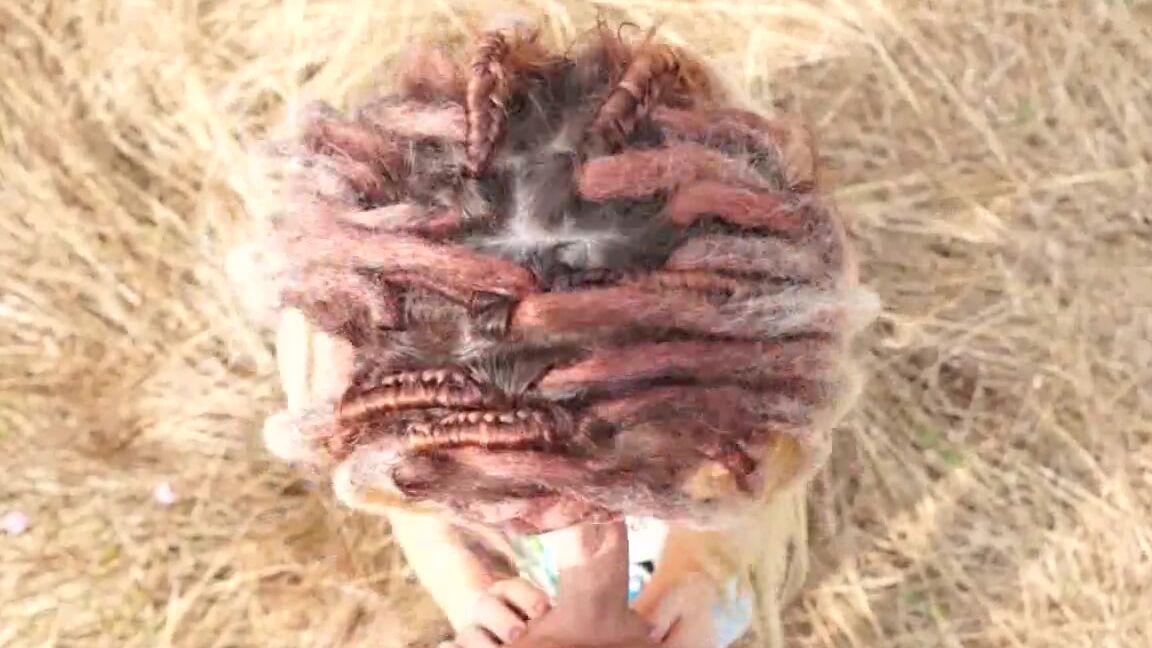 Jenny Young Meeting with Jenny Young. Blowjob in the Jungle. Pornhub