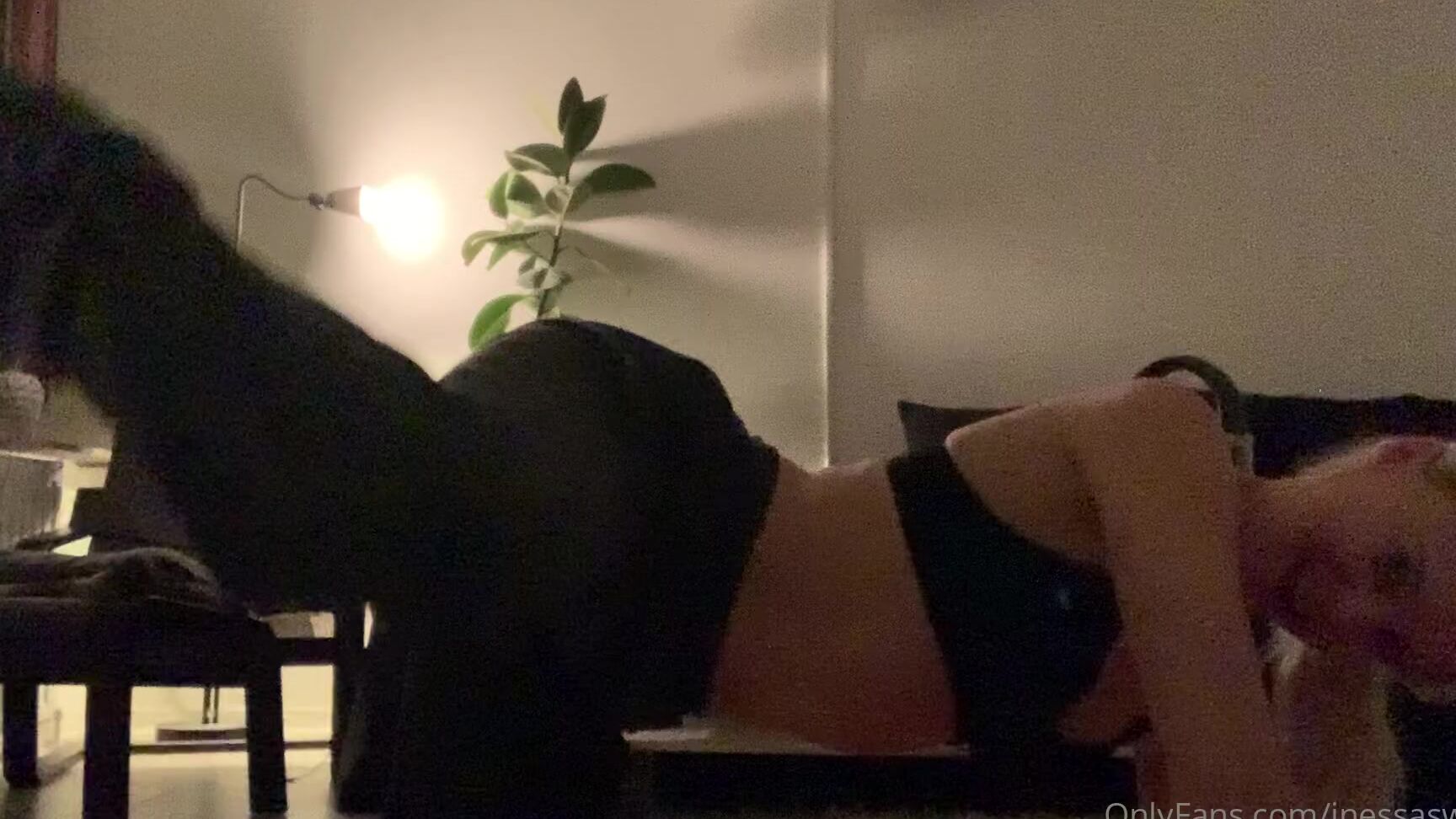 Peyton Kinsly 1499759506 12 22 2020 Workout Stretching