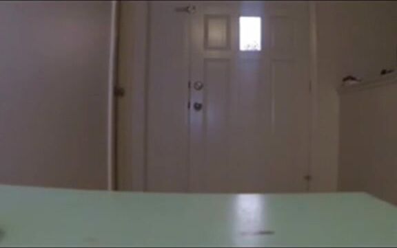 Biancaandhubby Crazy Carpet Cleaners