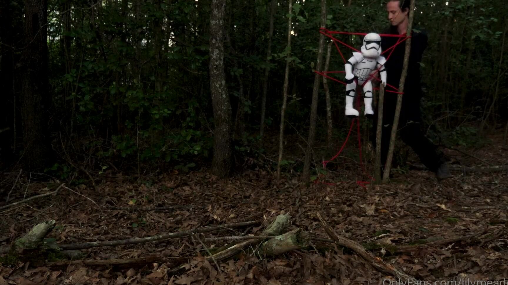 Mushroombuddy This Is A Custom Video I Made For Someone Who Wishes To Remain Anonymous But Is Allowing M