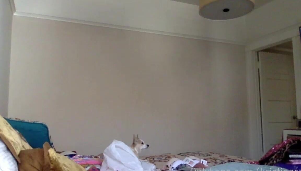 Kristinarose Stream Started At Pm Smoking Before Photoshoots Chatting I V Been Mia