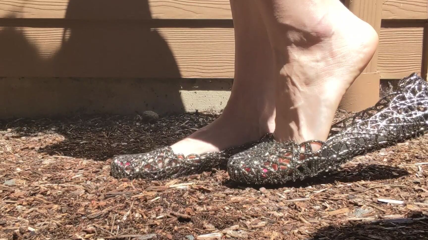 Premiumbrandy Jellys With Pink Toes Outside In The Warm Sunshine And Enjoying The Heat I Play Around Wi