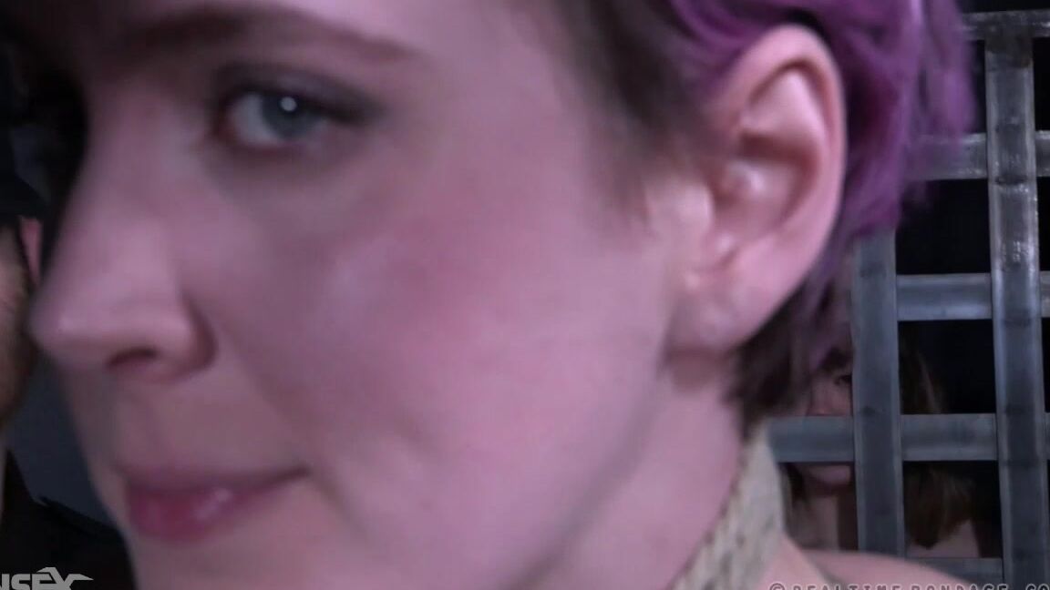 Sierra Cirque. Feast Your Eyes_2 Siterip