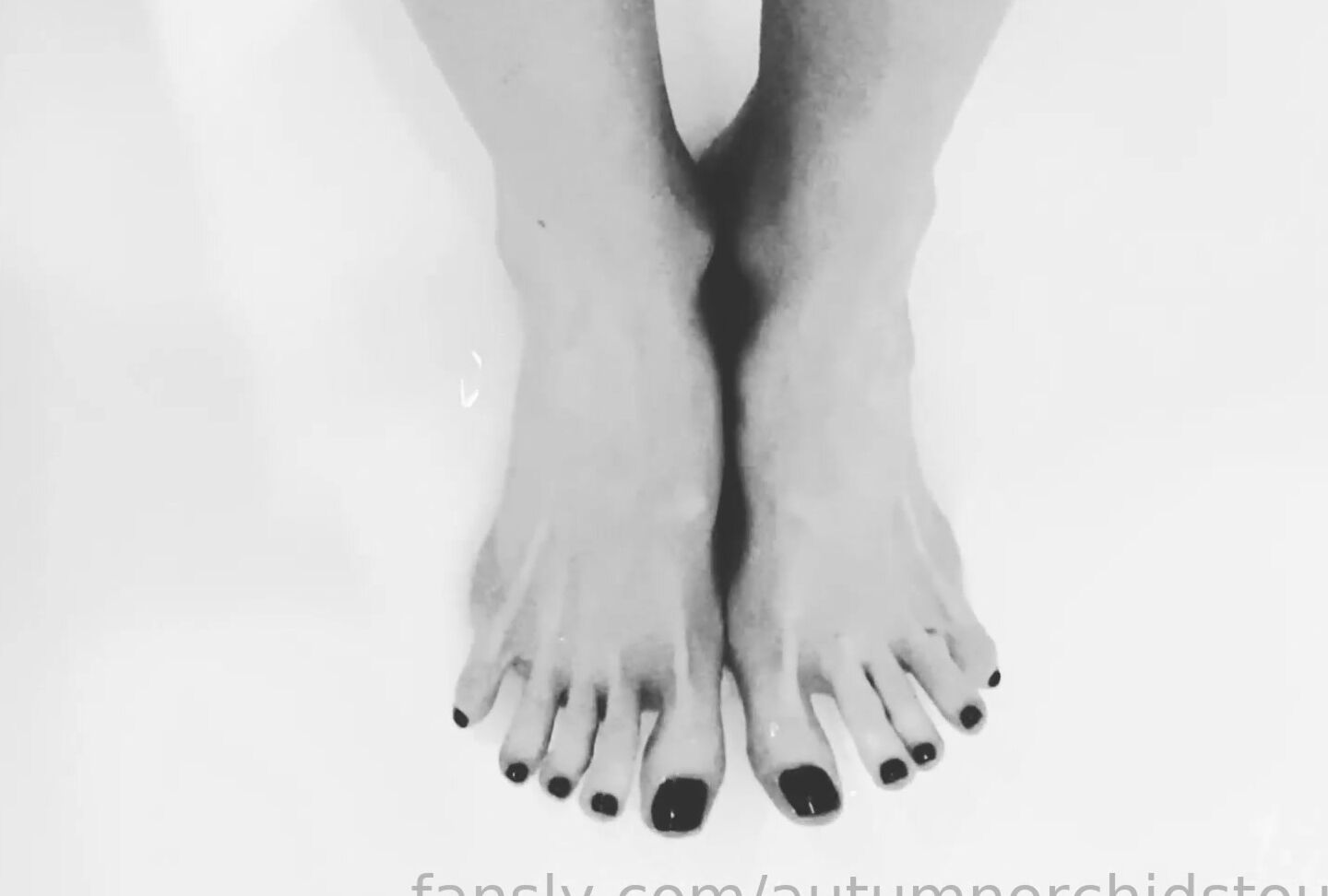 Autumn Orchid 401812181840044032