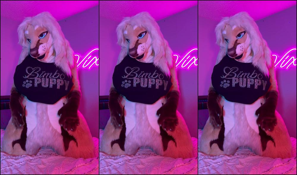 Angel Pups 999070508 Celine Thought Y All Deserved A Little Treat 01 0Ho8N4Ql48Tpcz3Pz8E31 Source