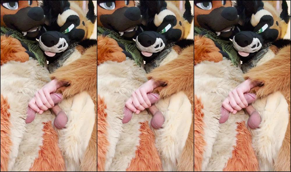 Palacewolf 963748346 Full Video 9M24S We Re Gonna Need To Borrow You Really 01 0Hngg7Rg1Sztisj5Ykhs1 Source