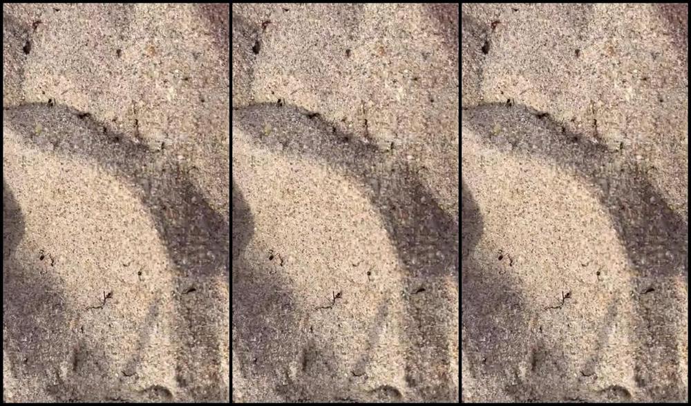 Goddess Nova Nicknamed Goddessnova 05 24 2022 Onlyfans Video Close Up Of My Sandy Soles 4