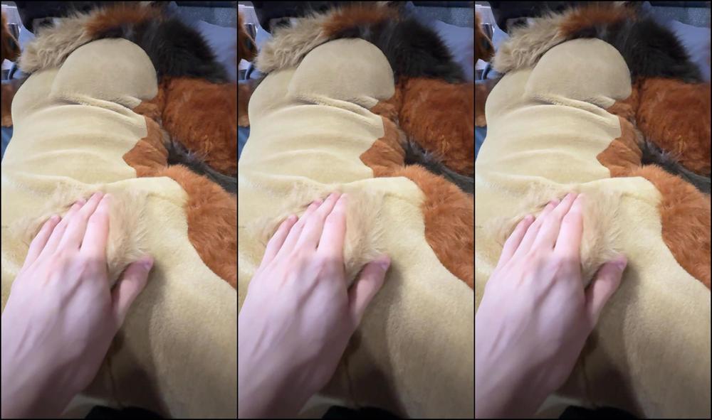 Palacewolf 0I226D90Uzxhbh8Emkj01 1920