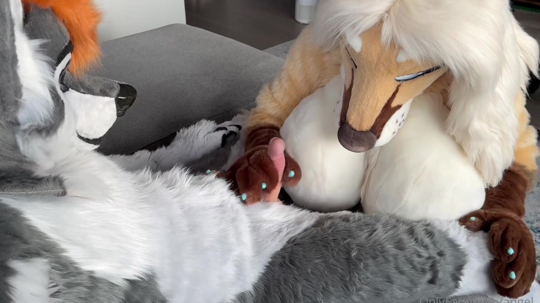 Angel Pups 1563838005 Celine Certainly Loves Making Storm A Good Boy For Her Full 01 0Hyxoy8B8Apg50B1V5O11 Source