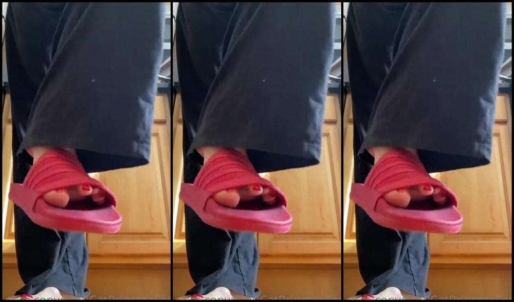 Catprincessfeet Onlyfans Hungarian Milf Feet For The Win 2