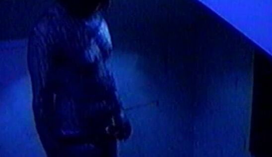 Horror porno, Hardcore Nekro. Vince Roth and Mick Nards SiteRip