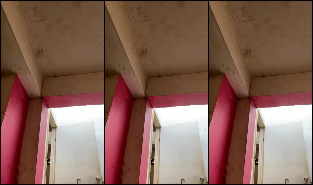 Princessdoris 2613035323 09 23 2022 Stream Started At 09232022 1240 Pm