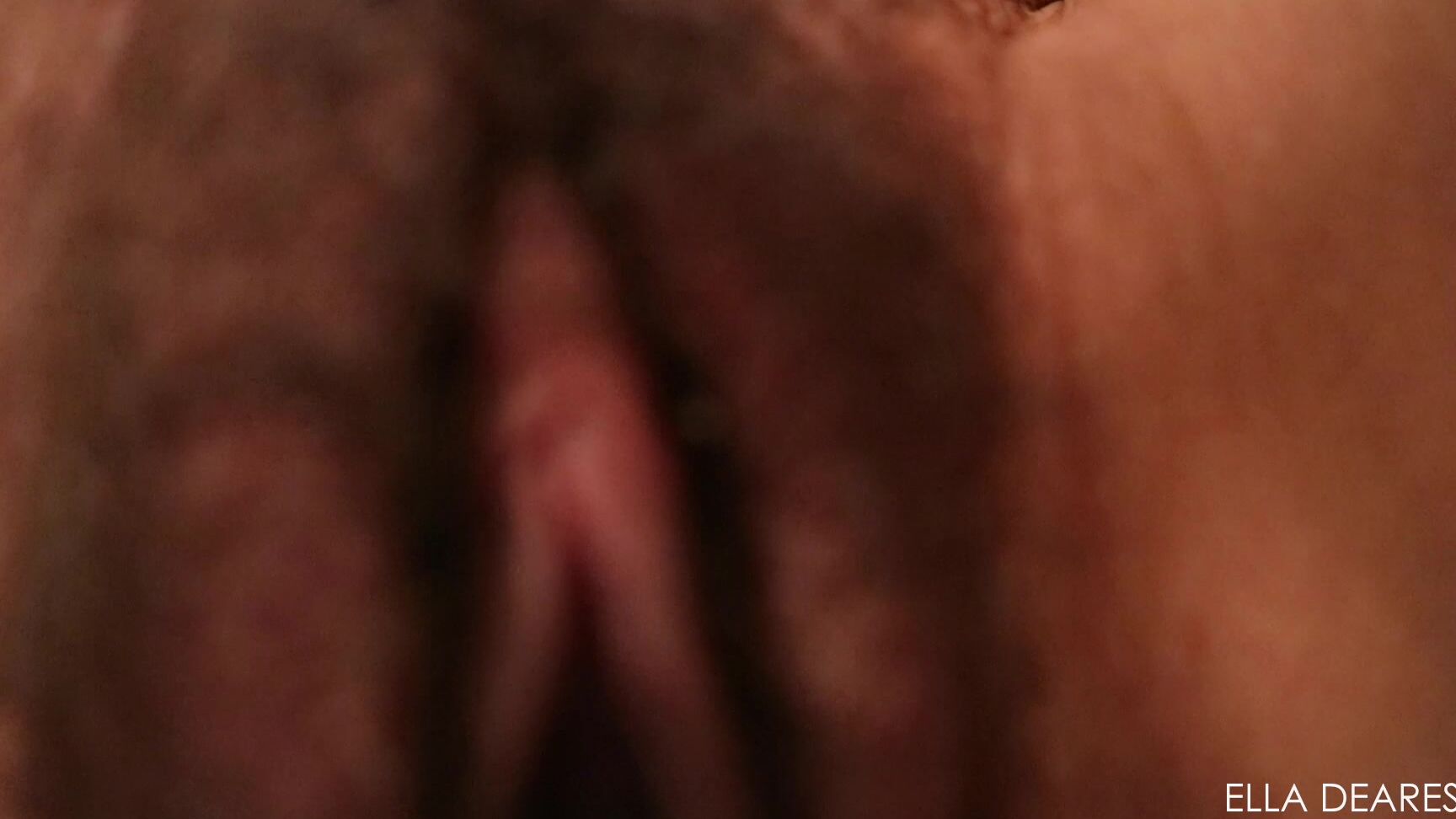 Elladearest The Perfect Cuckold