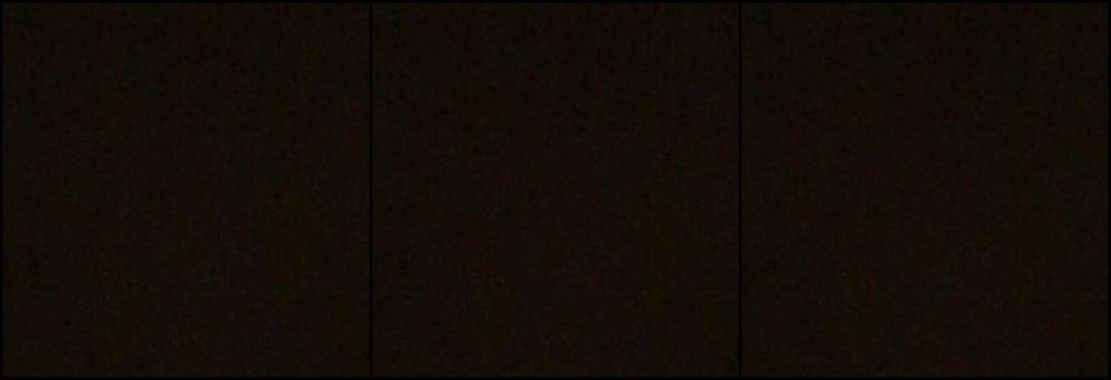 Xoxoashleyadams Sweat Spit And Insatiable Fucking