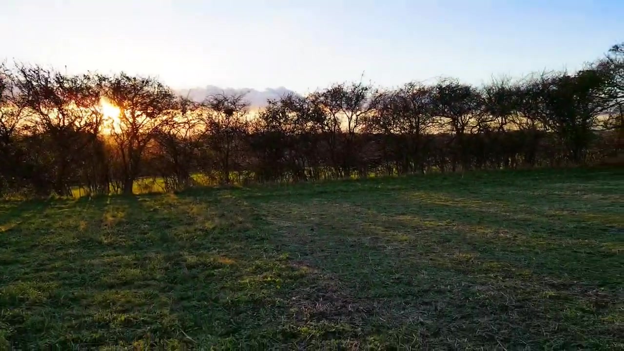 Age Play, Taboo anierotika mom introduces daughter to horse cock