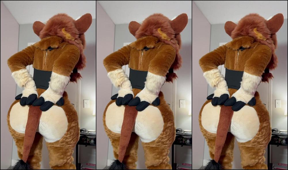 Angel Pups 1023037247 Think You Can Handle This 01 0Hor465Nqxeb6Rvdvqdiq Source